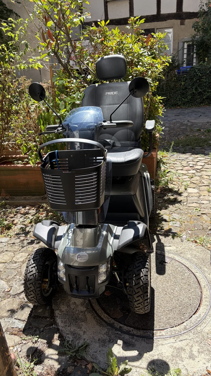 Pride Deluxe Plus für 3.000 € in Lindau